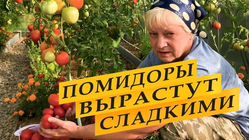 Чтобы помидоры были