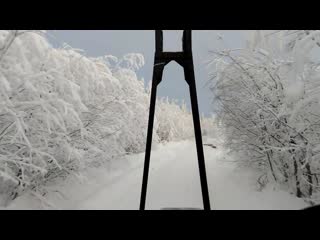 Опять Покатушки за лесом на С.Колчим Урал лесовоз