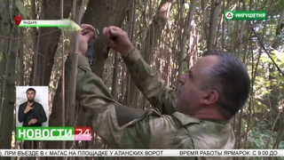 Сюжет НТРК Ингушетия о том как в лесах Ингушетии егеря проводят подкормку диких животных