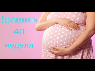 40 НЕДЕЛЯ БЕРЕМЕННОСТИ