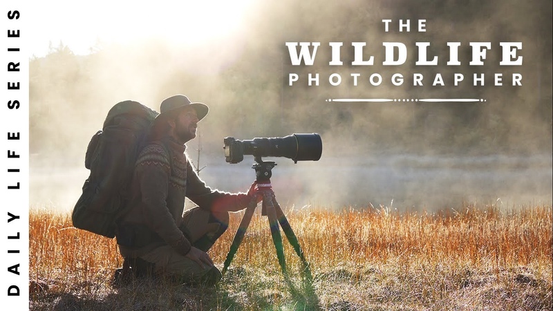 Amazing Bird Photography in the footsteps of BBC and Nat Geo 2 weeks in