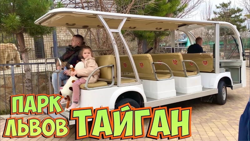 ХИЩНЫЕ ПТИЦЫ едят МЯСО быстрее ЯГУАРА ЧЁРНЫЙ ГРИФ,
