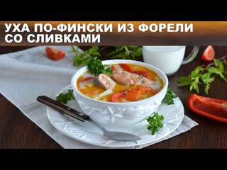 Уха по-фински из форели со сливками  Финский рыбный суп Лохикейтто. Сливочный суп из красной рыбы