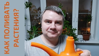 Как поливать растения?