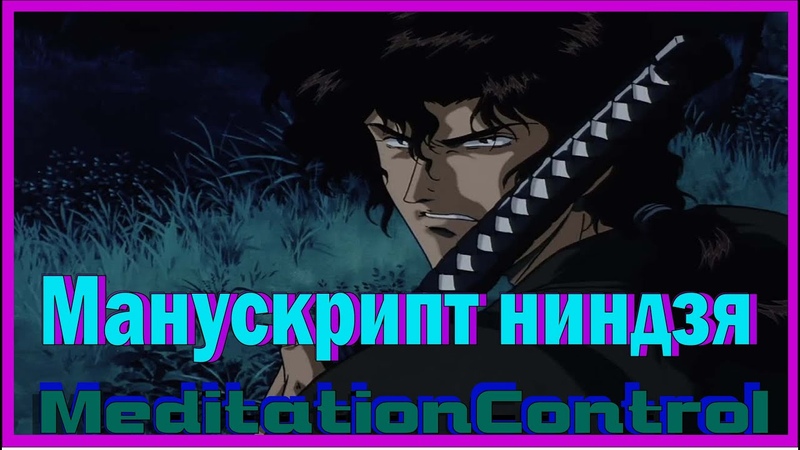 Манускрипт ниндзя: Новая глава (2003, аниме сериал яп.