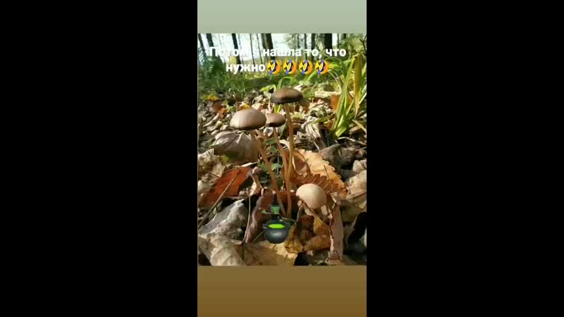 VID_122870316_202828_765.mp4