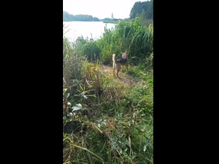 Видео от Луизы Борн