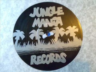 REGGAE LICK - DJ BUSINESS - JUNGLE MANIA 3