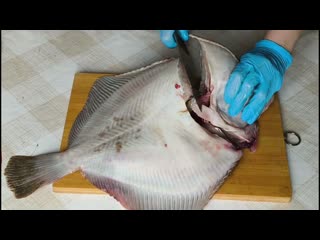 Разделываем камбалу