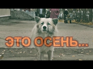 ЭТО ОСЕНЬ... ВИДЕОЗАРИСОВКА. УСТЬ-КУЛОМ, 07 ОКТЯБРЯ 2022 г.