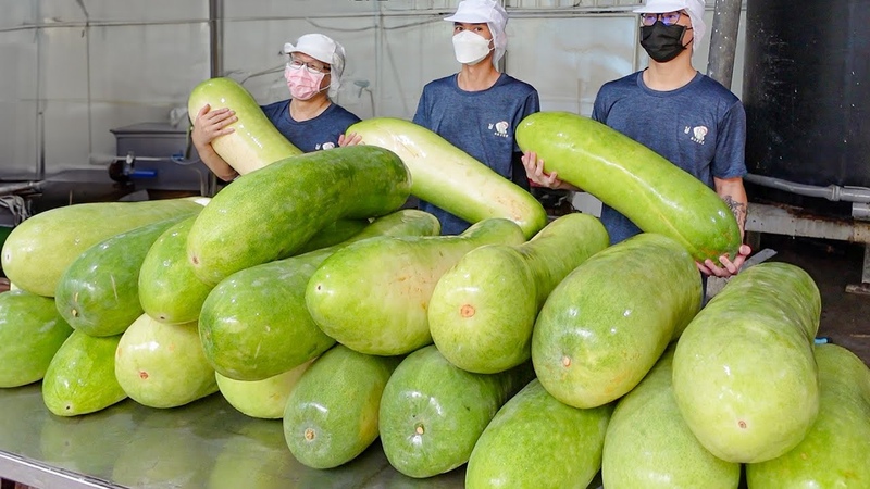 20, 000 a Day Winter Melon Tea Brick Mass Production Process, 冬瓜茶磚量產工廠 Taiwanese