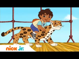 Гоу, Диего, Гоу! | Помощь детенышу-ягуару | Nickelodeon
