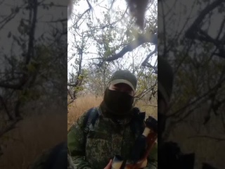 2 июня 2024 г.