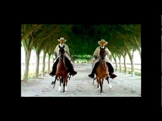 Peru - Espectculo del Caballo Peruano de Paso - Lima, Per