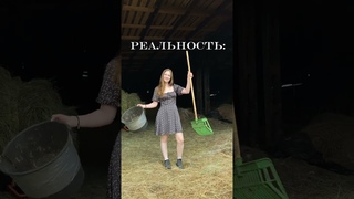 Ожидание / Реальность конного спорта #horse #equestrian #лошади #кони #animals #животные