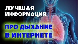 ЛУЧШАЯ ИНФОРМАЦИЯ ПРО ДЫХАНИЕ В ИНТЕРНЕТЕ