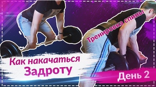 КАК НАКАЧАТЬСЯ ЗАДРОТУ? Тренировка Спины. День 2