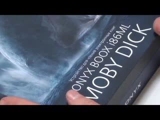 Onyx Boox i86ML Moby Dick. Первые впечатления и распаковка