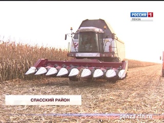Сбор сахарной свеклы в Пензенской области превысил 1 млн. 700 тыс. тонн