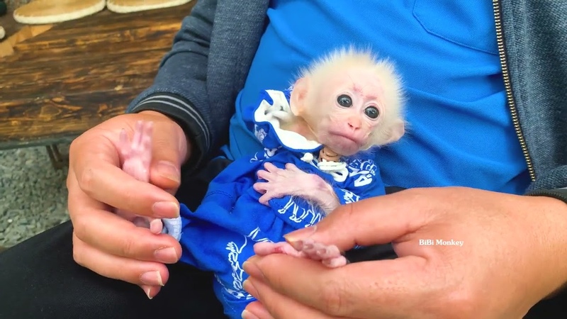 Baby Bibi happily hugs Dad to
