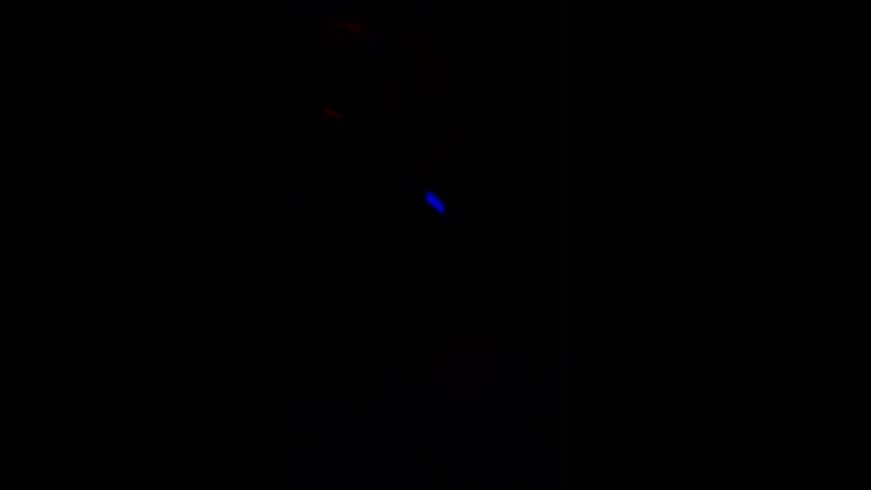 VID_20200801_030909.mp4