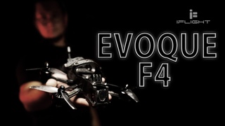 Мелкий и злой. 4 дюйма - компромисс или достоинство Iflight Evoque F4 HD
