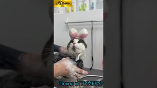 дети прислали.я в ШОКЕ