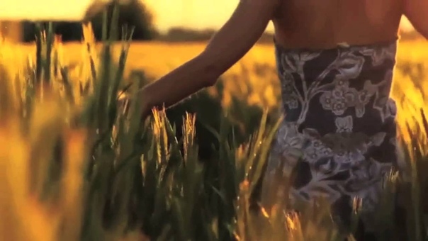 Fields of Gold ( Sting cover) Eva