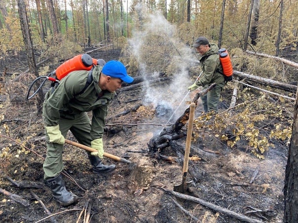 действующие лесные пожары