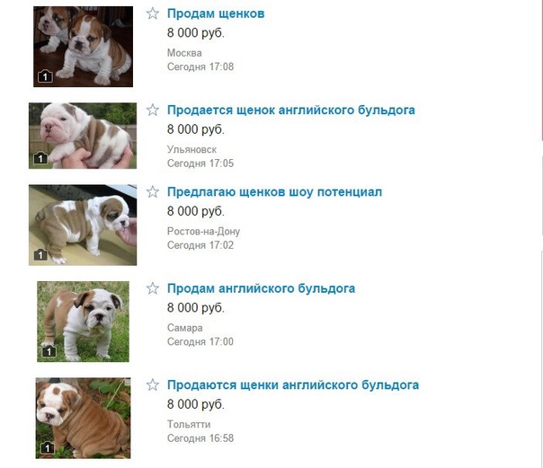 Смешные объявления о продаже животных. Объявления продам собаку. Объявление о пропаже щенка. Авито приколы объявления. Смешные объявления о продаже собак.