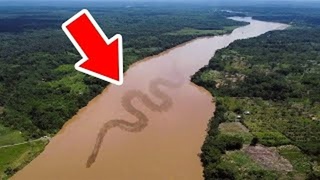 ТОП 5 Смертоносных Монстров Амазонки, От Которых У Вас Захватит Дух
