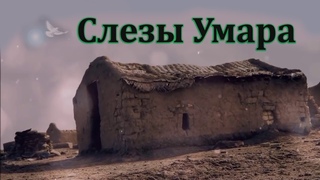 Слезы Умара ибн аль Хаттаба (поучительно)
