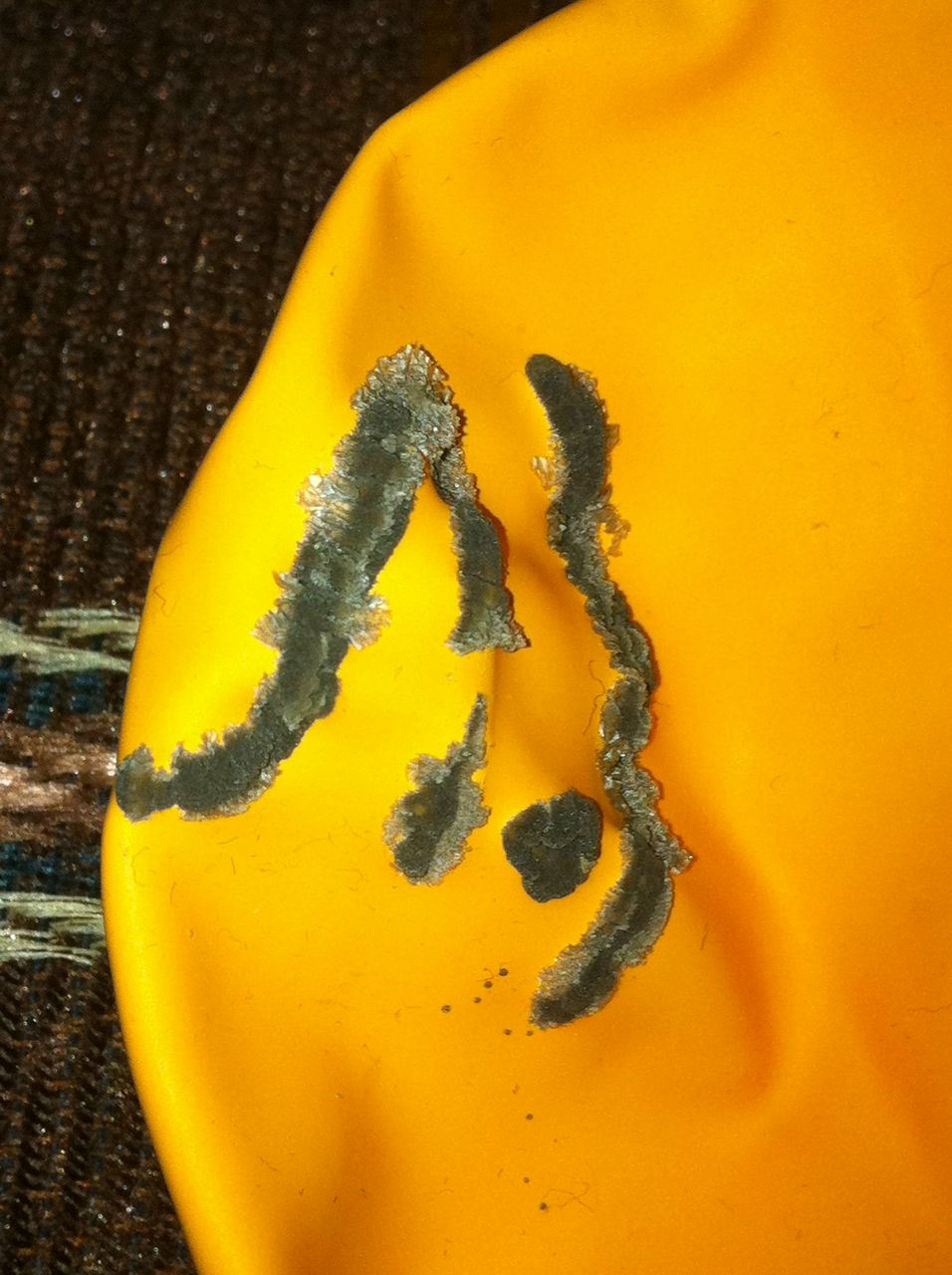 Ярослав Зеленцов | Москва