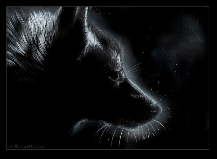 Dmitry Komolov | Москва