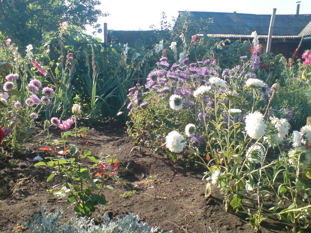 Рустам Кашапов ... | Санкт-Петербург