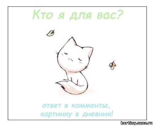 Тарас Марко | Ивано-Франковск