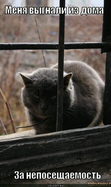 Максим Волегов | Сочи