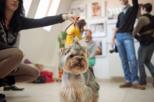 Александр Слободянюк | Каменец-Подольский