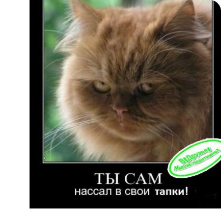 Артем Студеникин (((Dance for Life))) | Волгоград