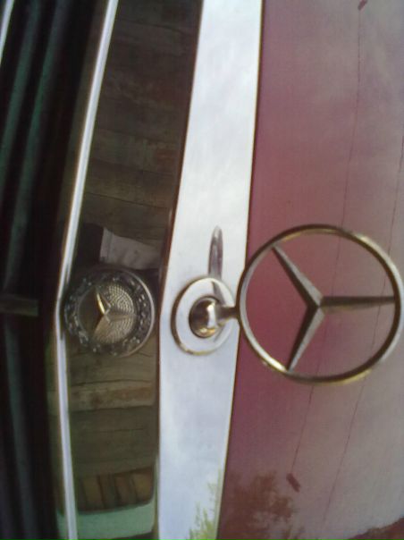 №41, Станислав Балуткин, 36 лет №41, Станислав Балуткин, 36 лет