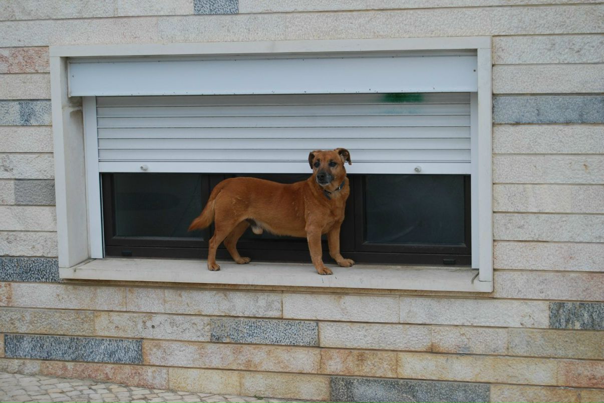 Алсу Гарифуллина | Москва