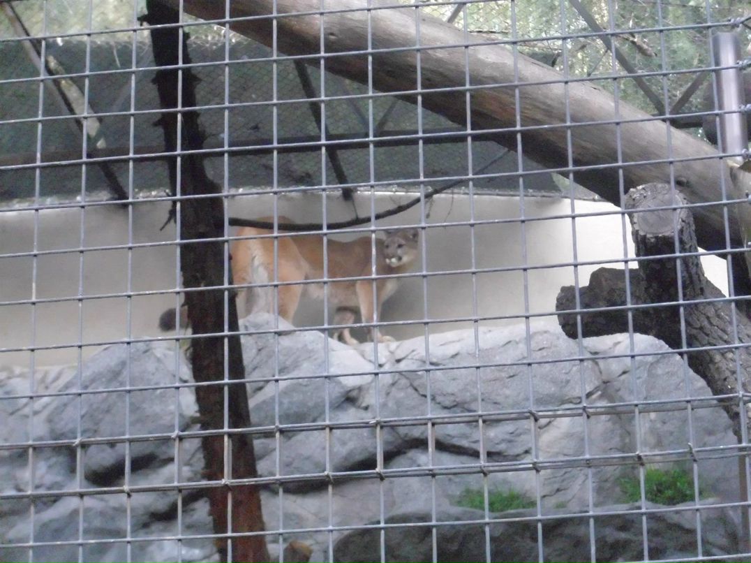 Alexandr Oseev | Magdeburg