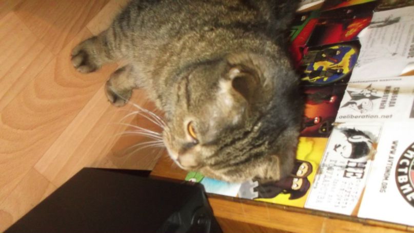 Алёнка Ковальчук | 