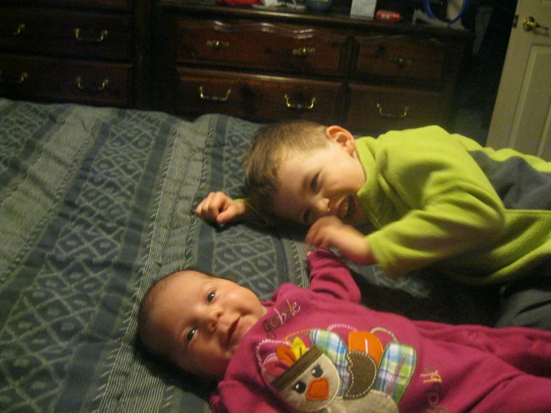 Елена Галиарди | Казань