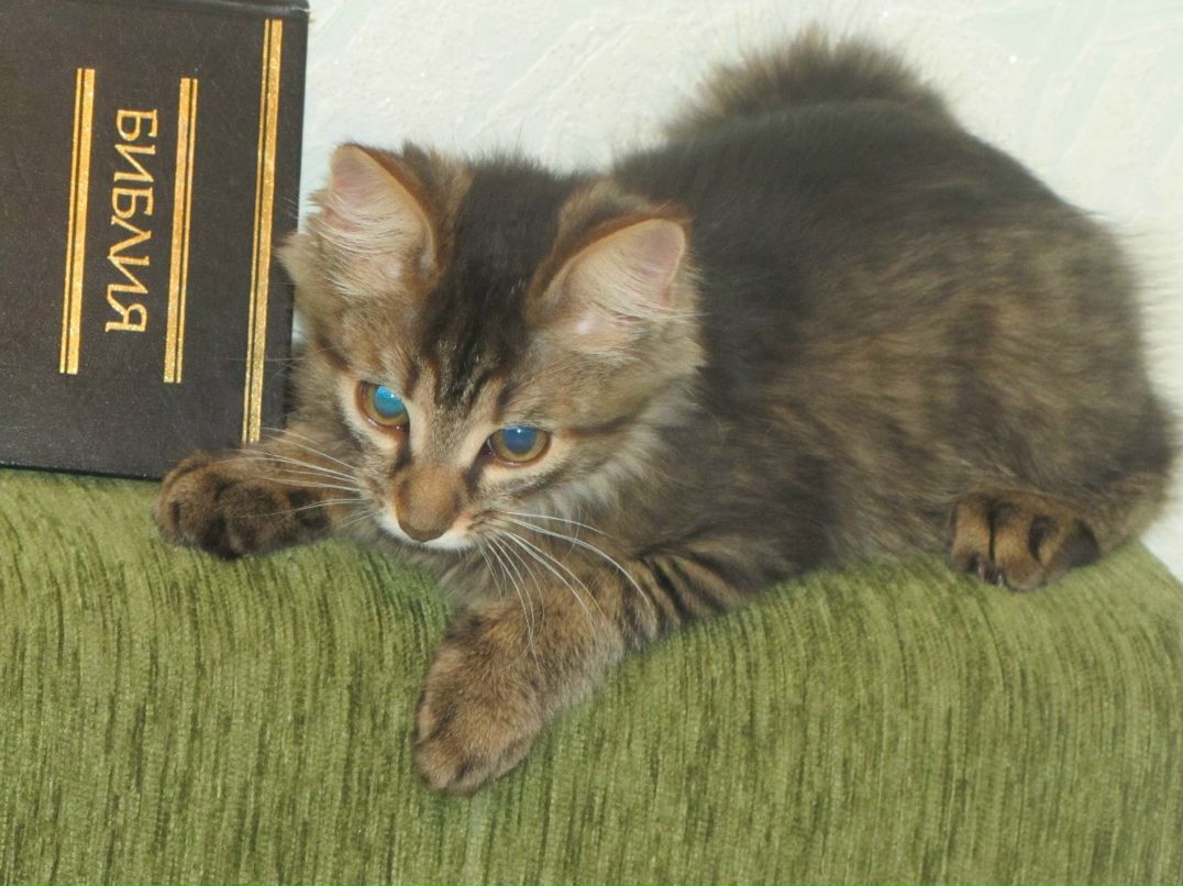 Саша Кирийчук | Киев