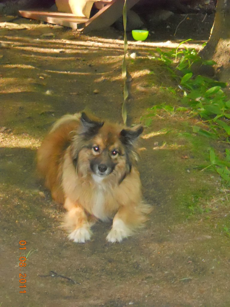 Вера Киржеманова | Санкт-Петербург