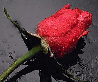 Мария Барашкова | Якутск