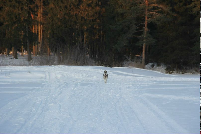 Ирина Кузьмина | Тихвин