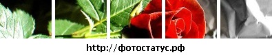 №43, Іра Лалетіна №43, Іра Лалетіна