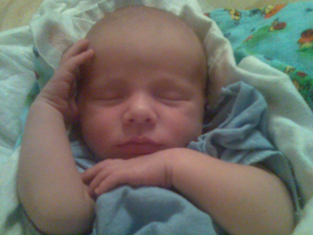 Наталья Ширяева | 